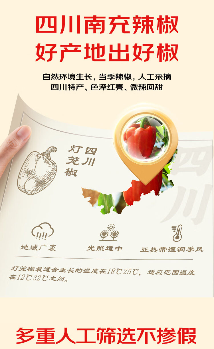 详情-03.jpg
