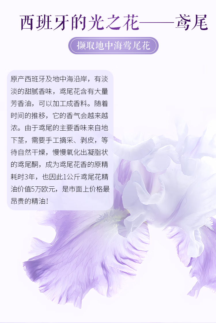 1735353784186358.png