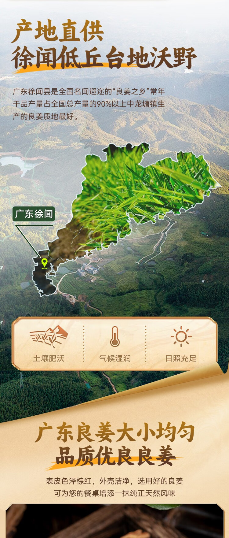 详情-02.jpg