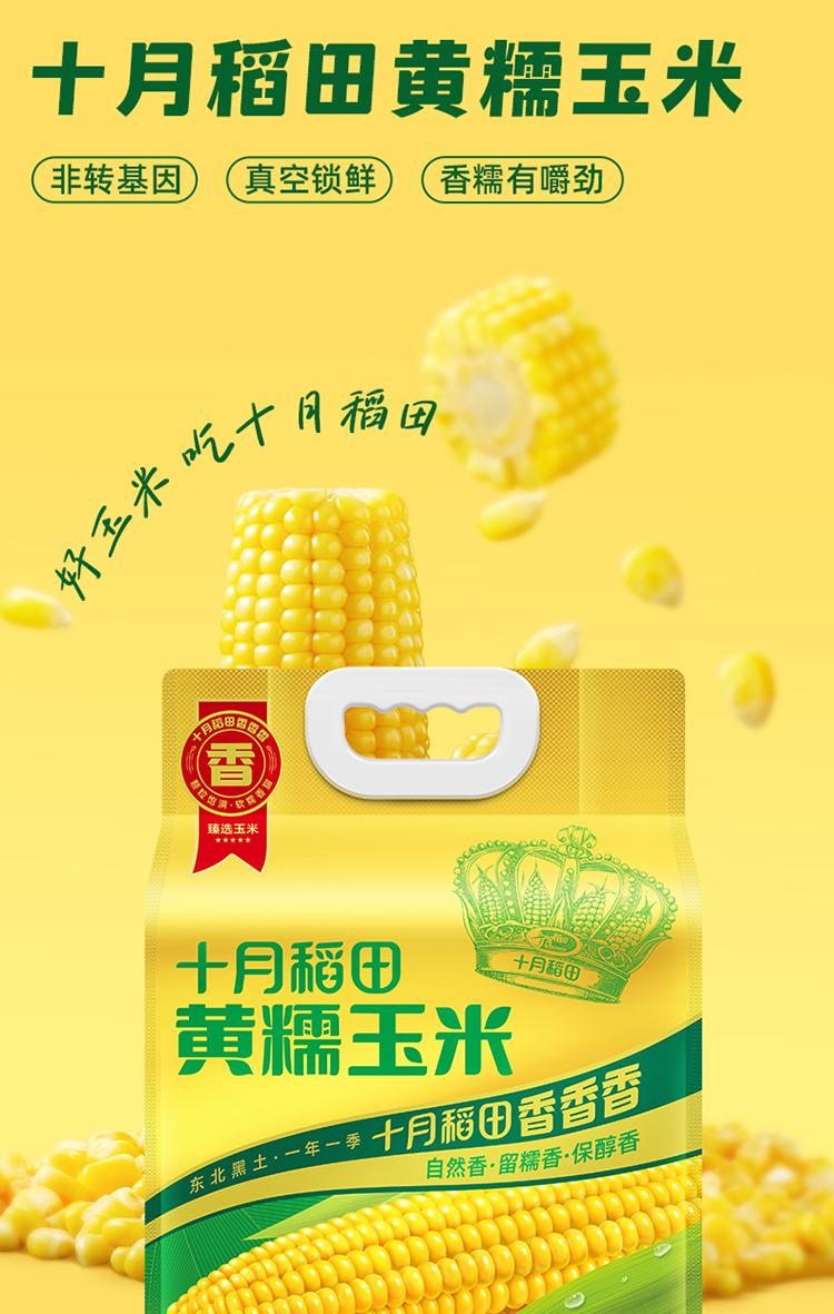 7571玉米升级_02.jpg
