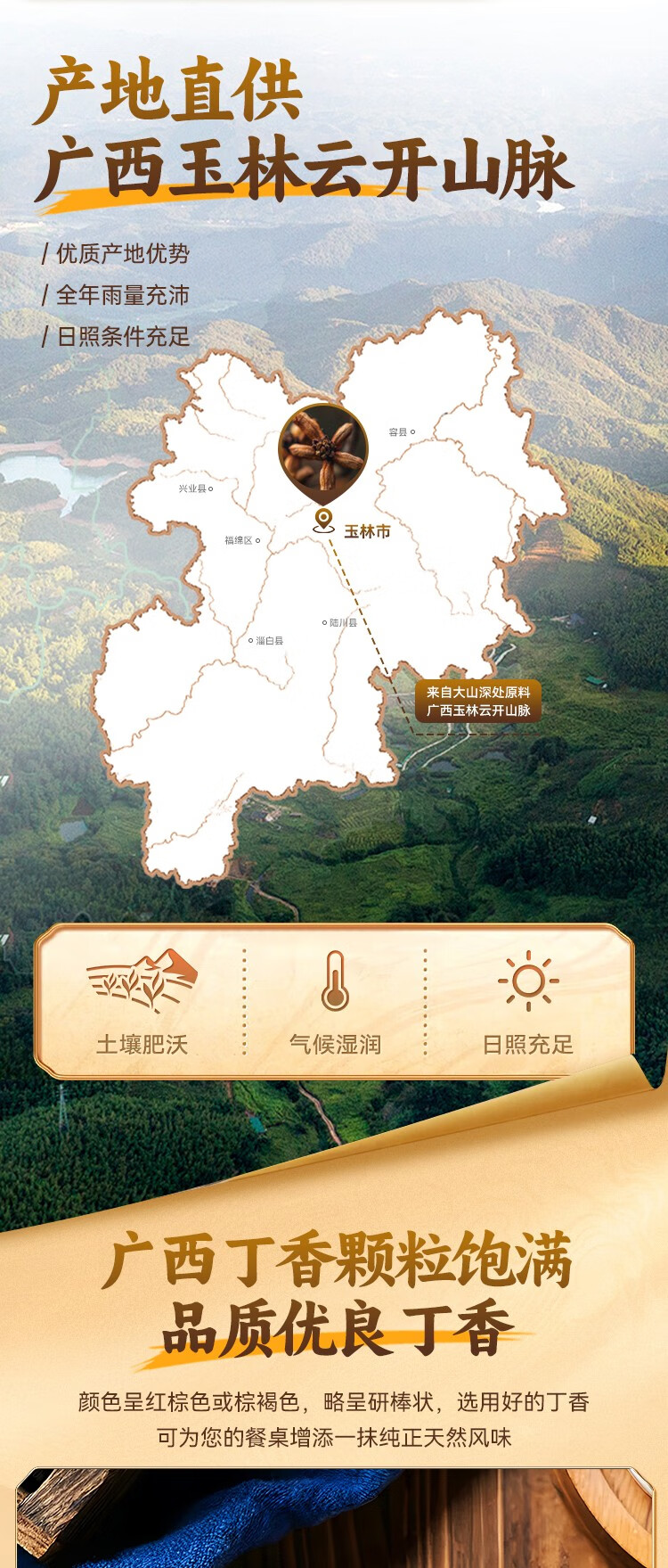 详情-02.jpg