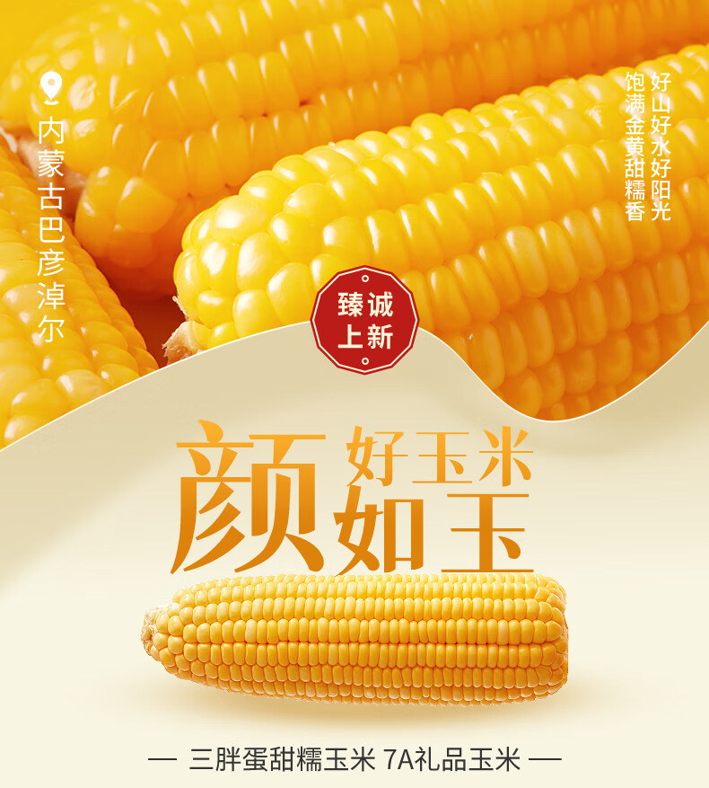 1747052280918518.jpg
