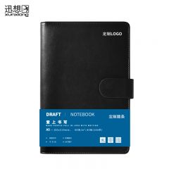 迅想  A5笔记本 5866 （本）