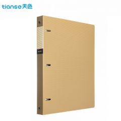 天色 文件夹 TS-1620 古铜棕（个）