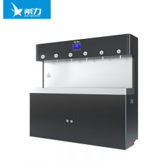 希力(XILI WATER) 商用净水器大型直饮水机大流量办公室单位饮水机净水机一体开水器 XL-J6(三开两温一直饮)
