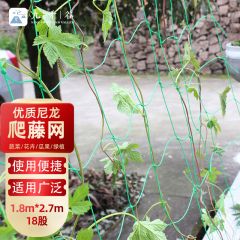 九千谷  J0215 植物爬藤网蔬菜瓜类尼龙网支架网园艺藤网 1.8m*2.7m18股